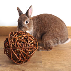jeu ronger lapin balle bois et foin