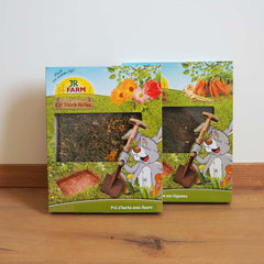 mini jardin lapin