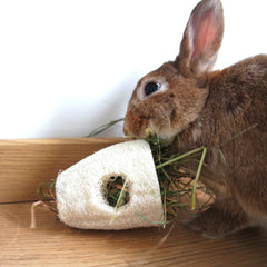 Jouets pour lapin en luffa