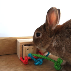 Jeu d'intelligence pour lapin - cube