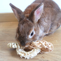 Jouets pour lapin en luffa