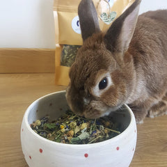 friandise naturelle lapin nain fleurs