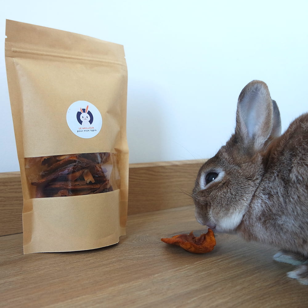 mangue pour lapin
