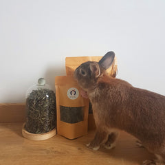 friandise menthe pour lapin