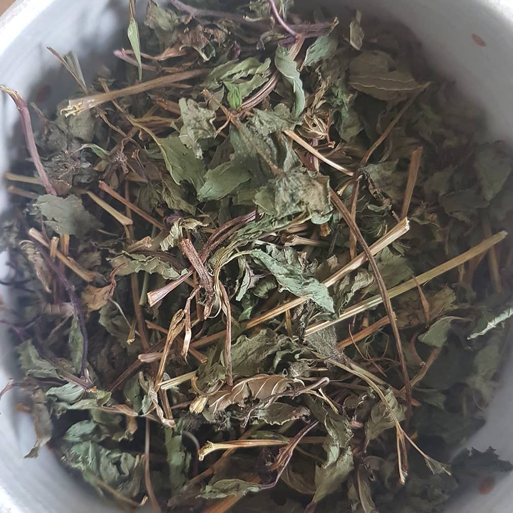 menthe séchée lapin nain