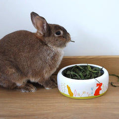 friandise plantain lapin
