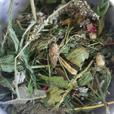 mélange fleur lapin friandise