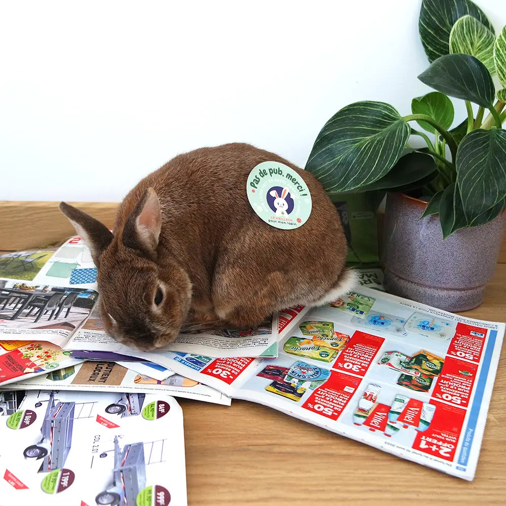 Sticker stop pub lapin
