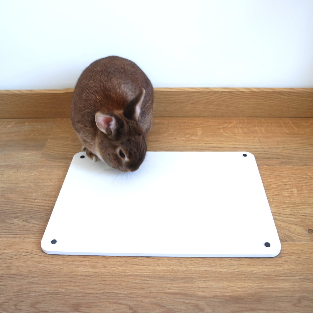 tapis rafraichissant lapin dessous