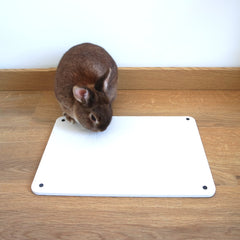 tapis rafraichissant lapin dessous