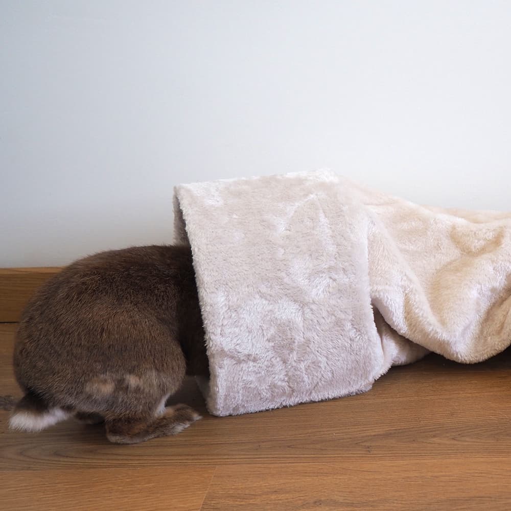 tunnel lapin nain douillet