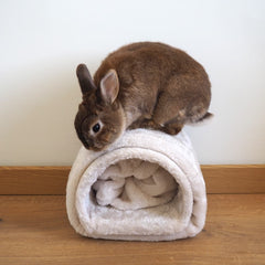 tunnel pour lapin cachette
