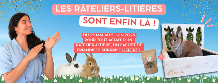 râtelier litière lapin