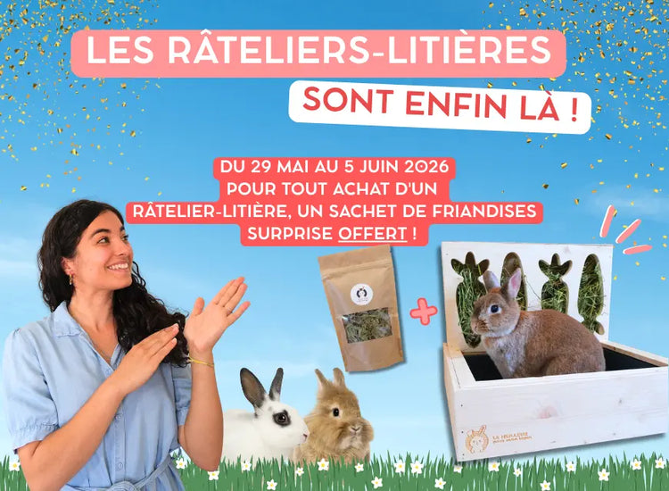 ratelier pour lapin
