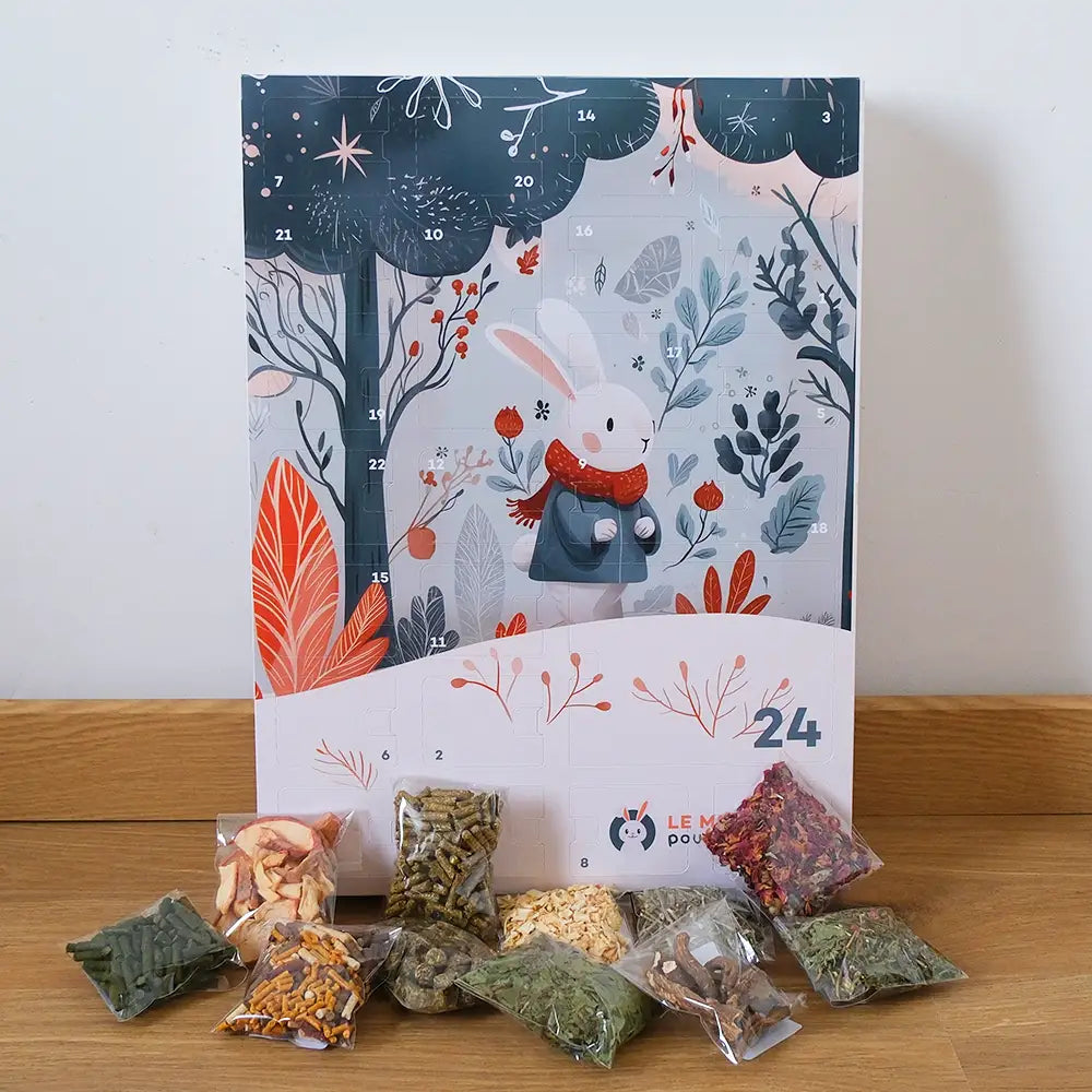 Calendrier avent pour lapin