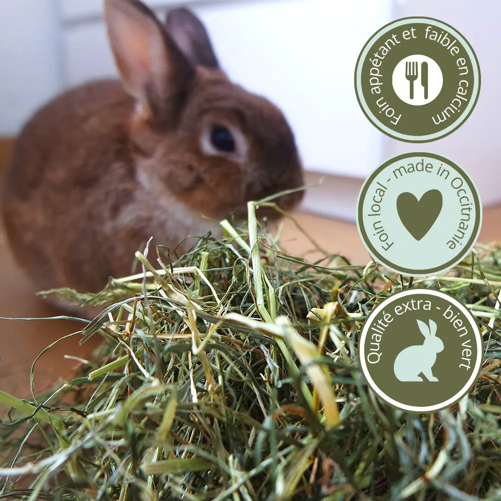 Foin lapin d'Occitanie