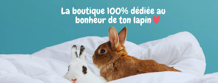 Foin de Crau pour lapin et lapin nain - Le meilleur pour mon lapin