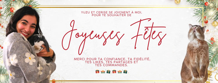 joyeux noel boutique lapin 