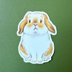lapin bélier marron et blanc