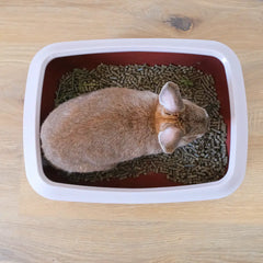 bac litière rectangle pour lapin