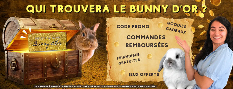 boutique le meilleur pour mon lapin cadeau