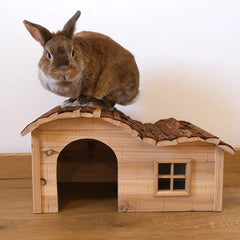 Mignonne cabane pour lapin