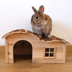 jolie cabane pour lapin nain