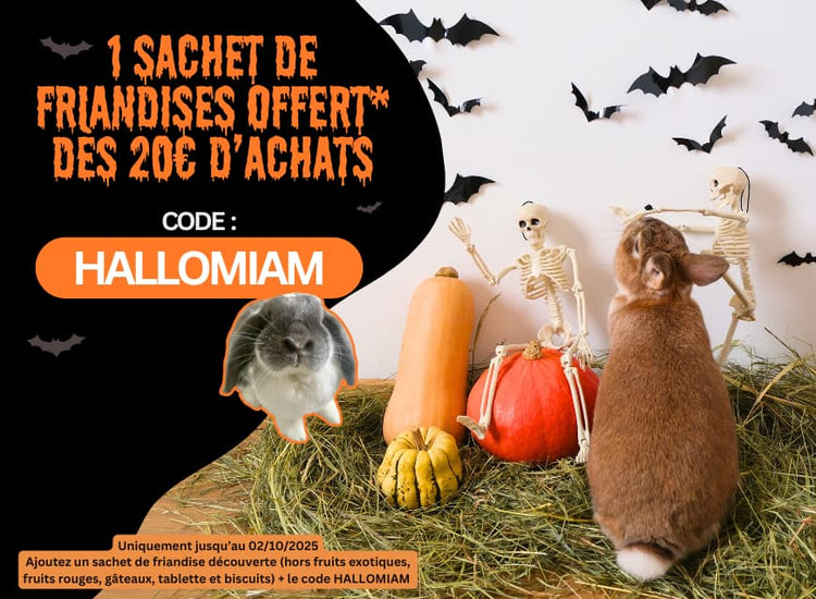 cadeau boutique le meilleur pour mon lapin promo