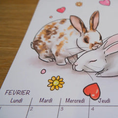 calendrier 2027 mural lapin