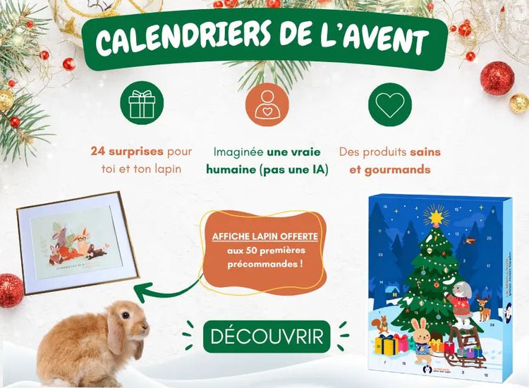 boutique le meilleur pour mon lapin calendrier avent 