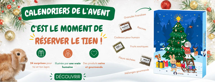 calendrier de l'avent pour lapin sans céréale