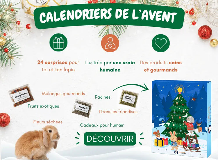 calendrier pour lapin meilleur