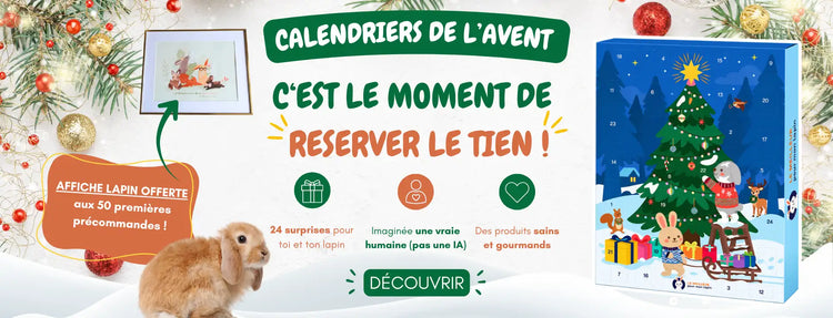 calendrier avent pour lapin Le meilleur pour mon lapin