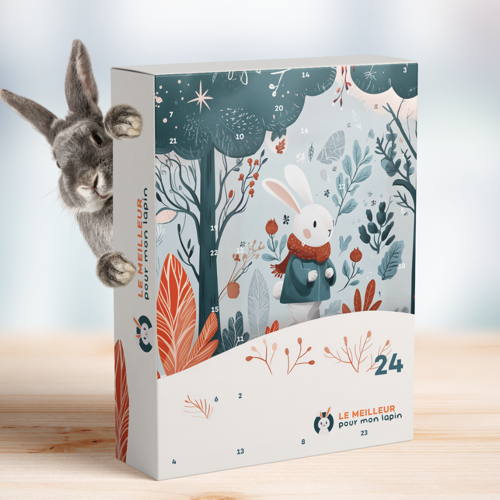 calendrier de l'avent pour lapin nain sans céréale