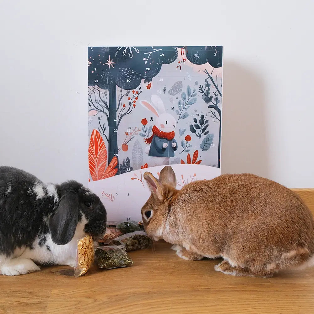 calendrier de l'avent pour lapin de compagnie