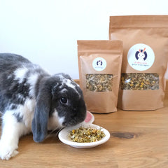 camomille pour lapin