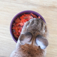 friandise naturelle lapin carotte