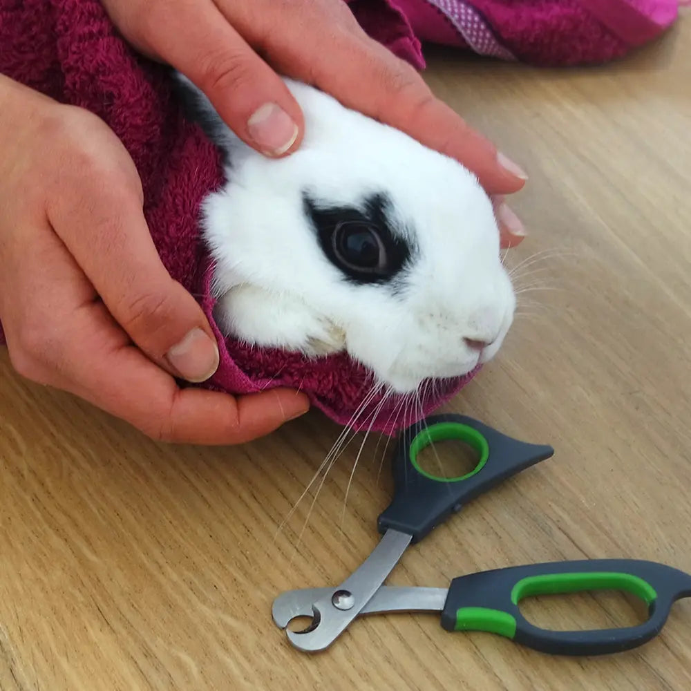 coupe ongle pour lapin
