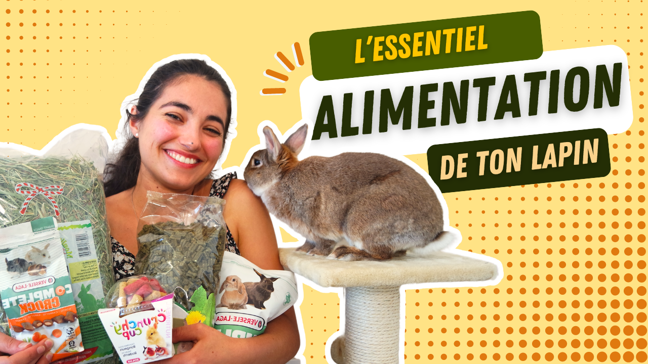 Quel Accompagnement Pour Le Lapin L'alimentation Du Lapin 3 Alimentation pour lapins
