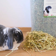 foin pour lapin compliqué