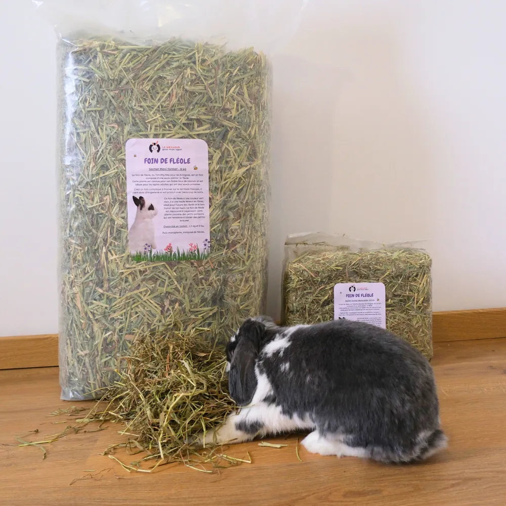 foin pauvre en calcium pour lapin