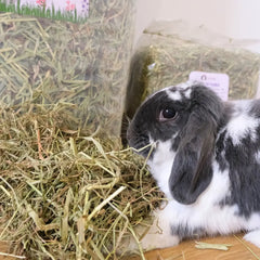 foin de fléole pour lapin