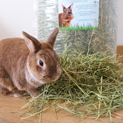 foin le meilleur pour mon lapin