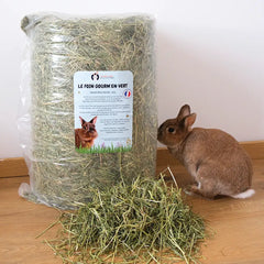 foin de qualité pour lapin compliqué en foin