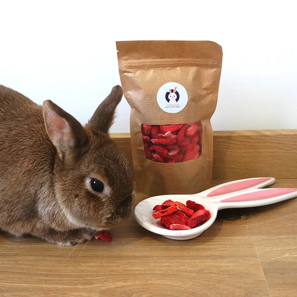 Fraises lyophilisées pour lapins - Rabbits World
