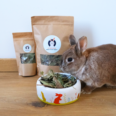 feuille de fraisier pour lapin friandise saine