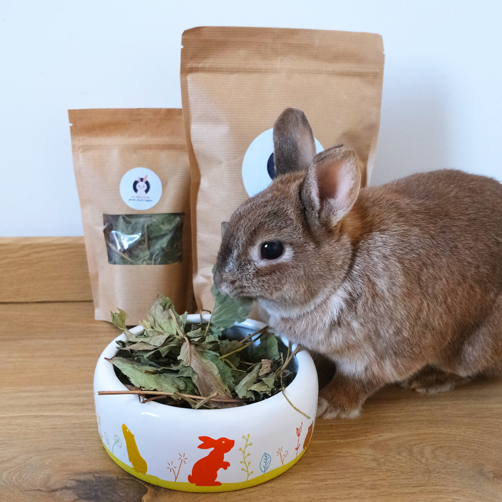 fraisier pour lapin friandise