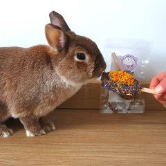 Glace pour lapin