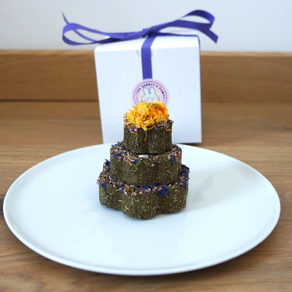 Gâteau pour lapin