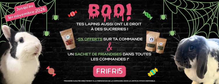 offre le meilleur pour mon lapin